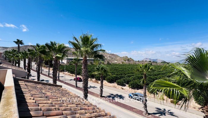 Te koop - Huis - Halfvrijstaande woning - Algorfa - Algorfa Centro