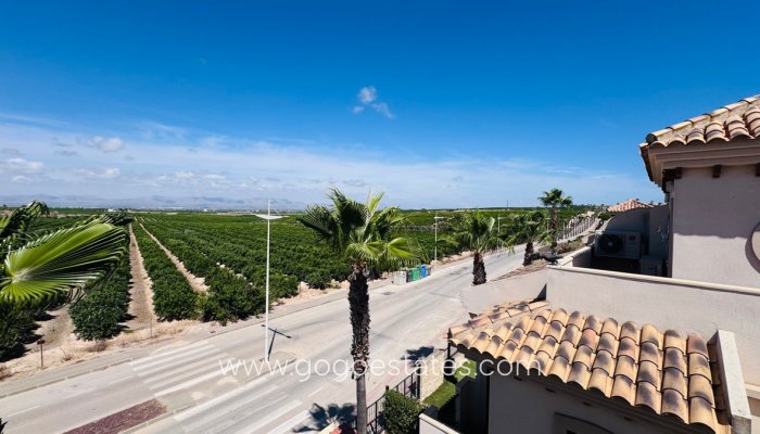 Te koop - Huis - Halfvrijstaande woning - Algorfa - Algorfa Centro