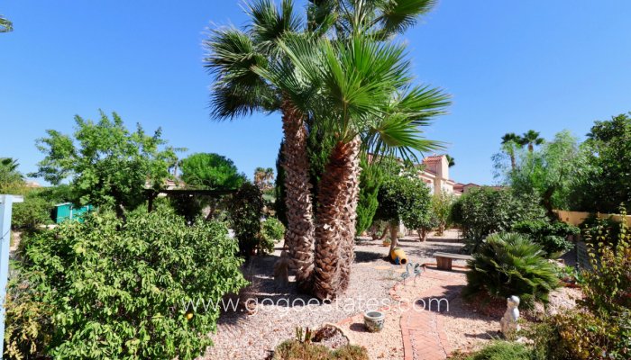 Te koop - Huis - Vrijstaande Villa - Catral - Catral Centro