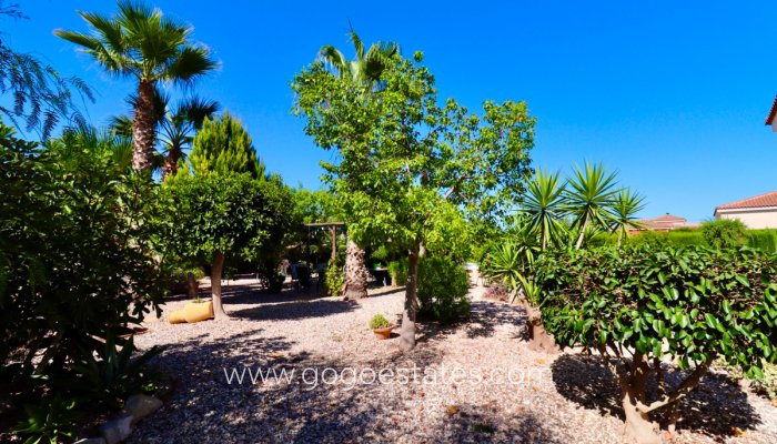 Te koop - Huis - Vrijstaande Villa - Catral - Catral Centro