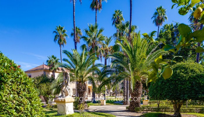 Revente - Appartement - Appartement au dernier étage - Jacarilla