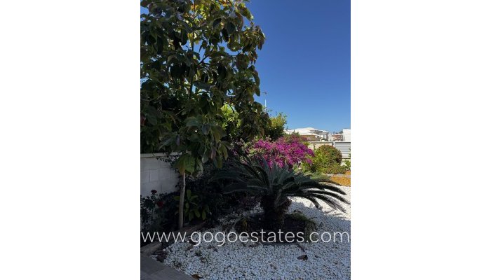 Te koop - Appartement - Begane Grond Appartement - Torrevieja - Torrevieja Centro