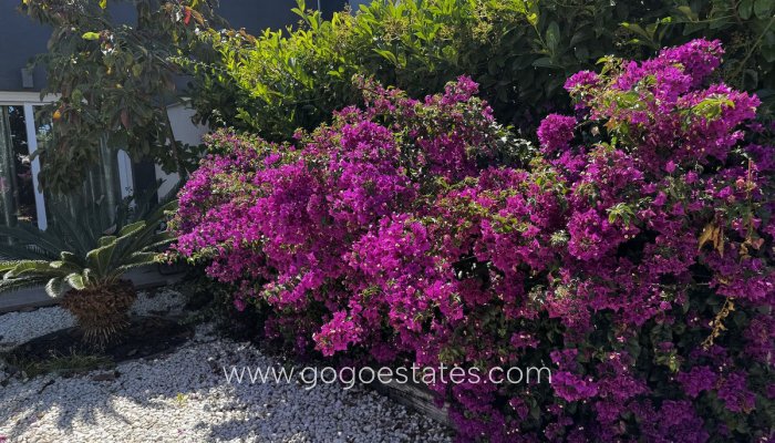 Te koop - Appartement - Begane Grond Appartement - Torrevieja - Torrevieja Centro