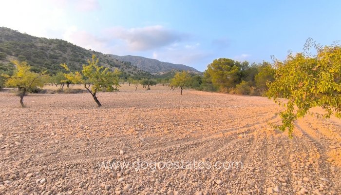 Resale - Plot - Land - Pinoso - Pinoso Centro