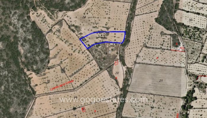 Resale - Plot - Land - Pinoso - Pinoso Centro