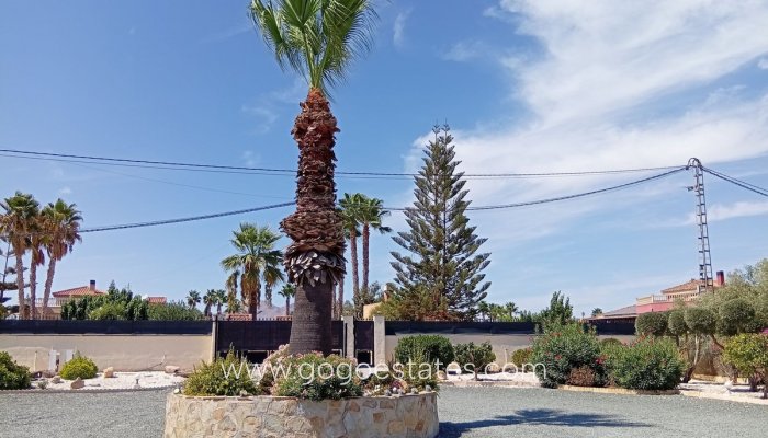 Te koop - Huis - Vrijstaande Villa - Catral - Catral Centro