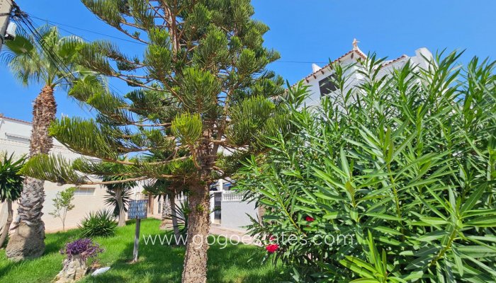 Te koop - Huis - Bungalow - Torrevieja - Torrevieja Centro