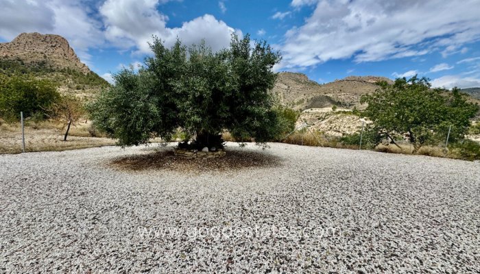 Te koop - Huis - Bungalow - Relleu - Relleu Centro