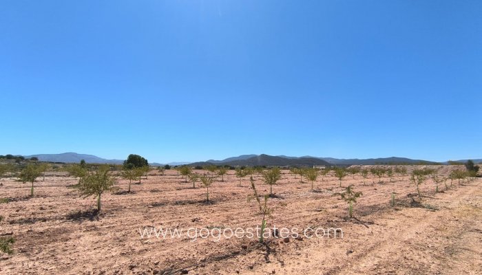 Te koop - Perceel - Land - Monóvar - Monòver - Monóvar - Monòver Centro
