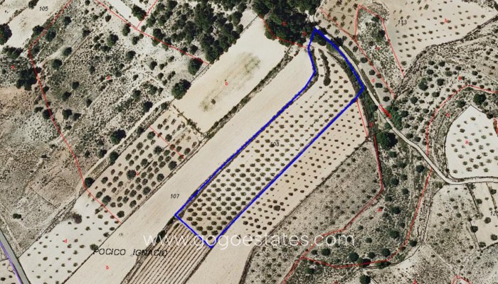 Te koop - Perceel - Land - Monóvar - Monòver - Monóvar - Monòver Centro