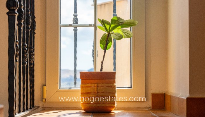 Te koop - Huis - Bungalow - Dénia - Jesus Pobre