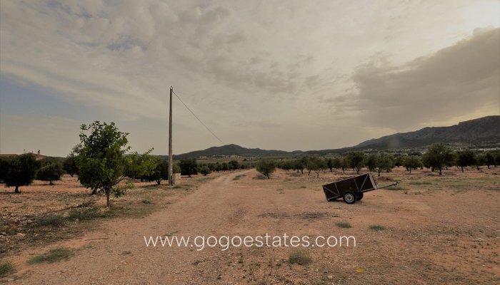 Te koop - Huis - Finca - Cortijo - Salinas - Salinas Centro