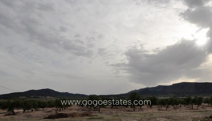 Te koop - Huis - Finca - Cortijo - Salinas - Salinas Centro