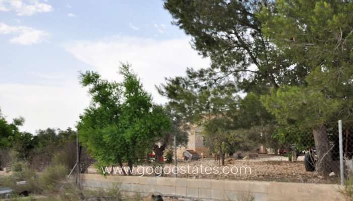 Te koop - Huis - Finca - Cortijo - Salinas - Salinas Centro