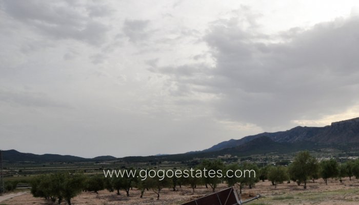 Te koop - Huis - Finca - Cortijo - Salinas - Salinas Centro