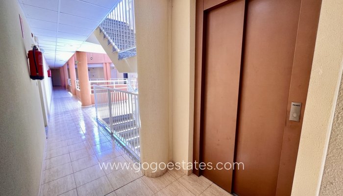 Revente - Appartement - Appartement au rez-de-chaussée - San Miguel De Salinas - San Miguel de Salinas Centro