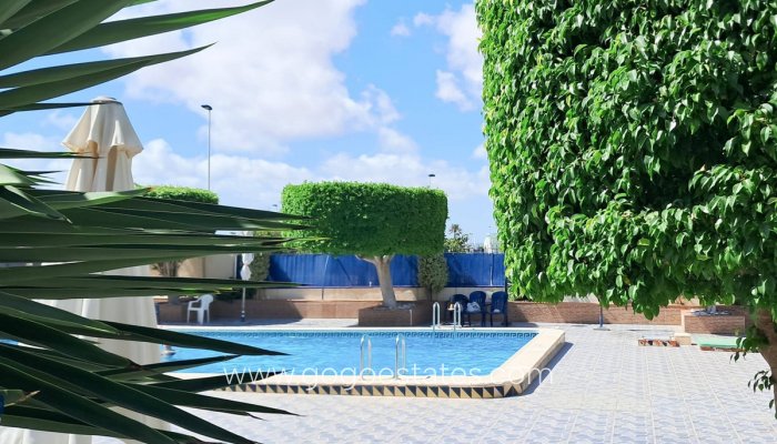 Te koop - Appartement - Penthouse Duplex - Torrevieja - Torrevieja Centro