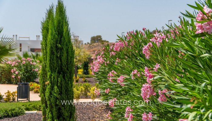 Te koop - Appartement - Begane Grond Appartement - Orihuela - Orihuela Costa