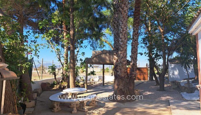 Te koop - Huis - Finca - Cortijo - Orihuela - Orihuela Centro