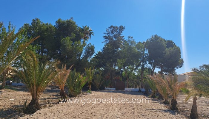 Te koop - Huis - Finca - Cortijo - Orihuela - Orihuela Centro