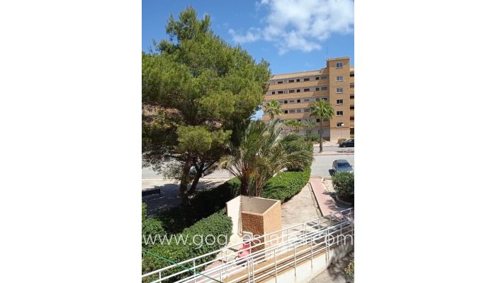 Te koop - Appartement - Begane Grond Appartement - Guardamar del Segura - Guardamar del Segura Centro