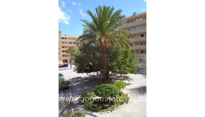 Te koop - Appartement - Begane Grond Appartement - Guardamar del Segura - Guardamar del Segura Centro