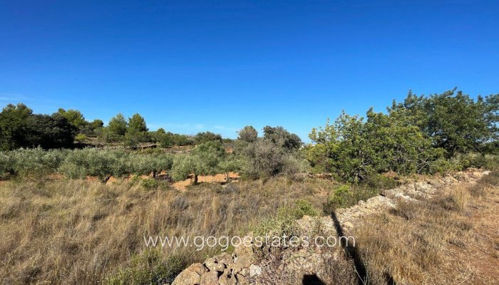 Te koop - Perceel - Woonperceel - Benissa - Benissa Centro