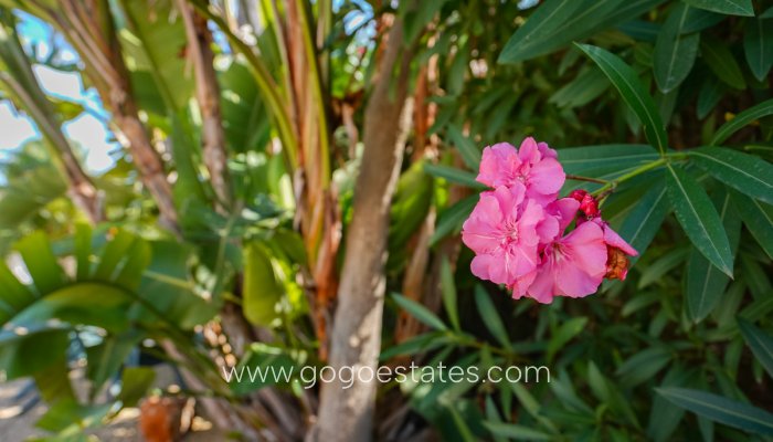 Te koop - Huis - Vrijstaande Villa - Jávea Xàbia - Jávea - Xàbia Centro