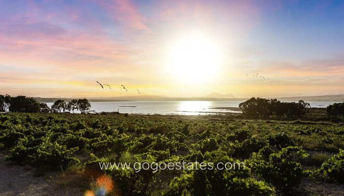 Te koop - Huis - Vrijstaande Villa - Rojales - Ciudad Quesada