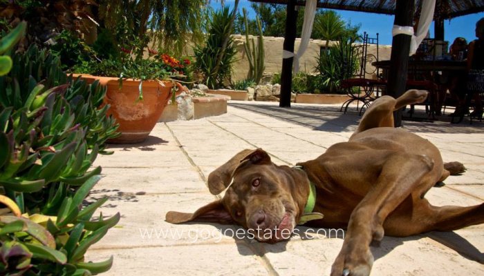 Te koop - Huis - Finca - Cortijo - Benissa - Benissa Centro