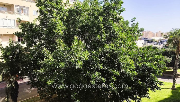 Te koop - Appartement - Appartement op de middelste verdieping - Torrevieja - Torrevieja Centro