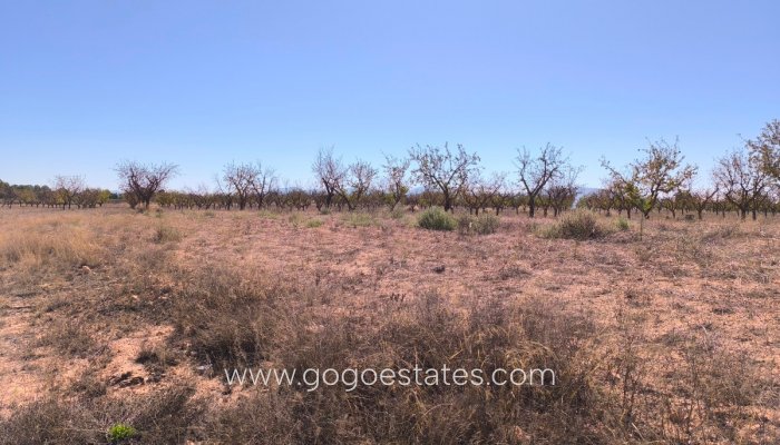 Te koop - Perceel - Land - Pinoso - Pinoso Centro