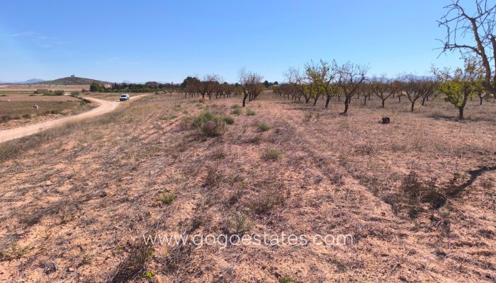 Te koop - Perceel - Land - Pinoso - Pinoso Centro