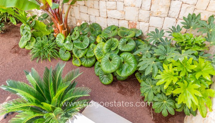 Te koop - Huis - Vrijstaande Villa - Jávea Xàbia - Jávea - Xàbia Centro