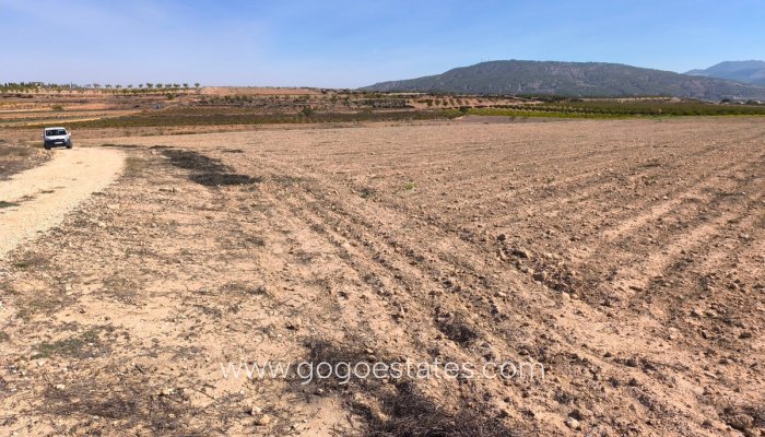 Te koop - Perceel - Land - Pinoso - Pinoso Centro