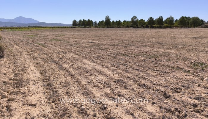 Te koop - Perceel - Land - Pinoso - Pinoso Centro