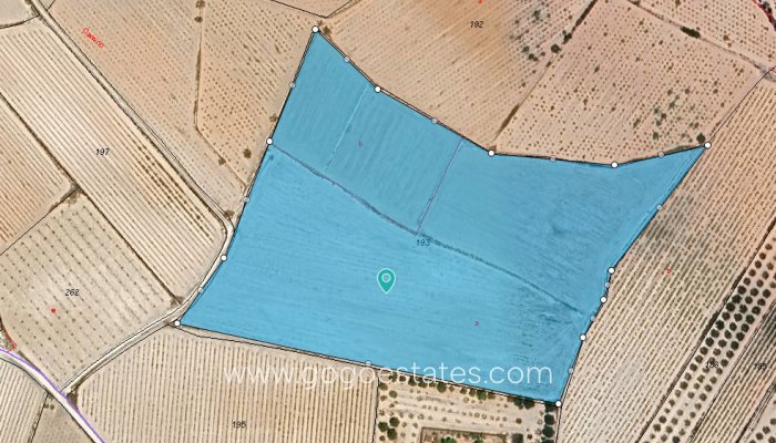 Te koop - Perceel - Land - Pinoso - Pinoso Centro