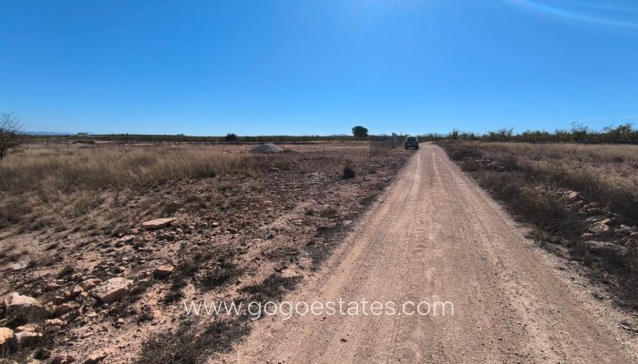 Te koop - Perceel - Land - Pinoso - Pinoso Centro