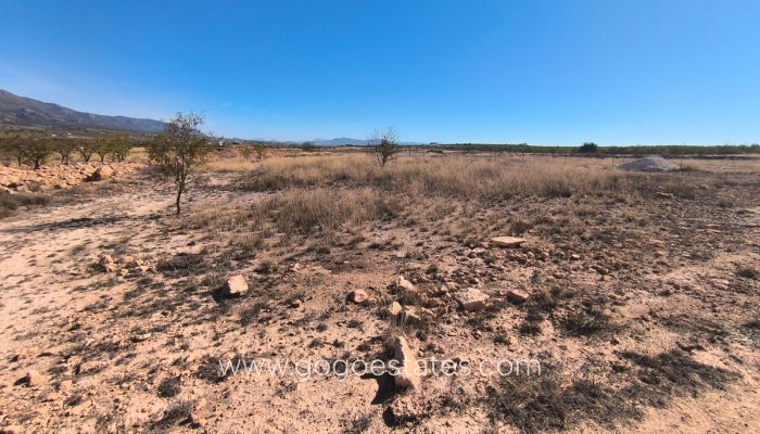 Te koop - Perceel - Land - Pinoso - Pinoso Centro