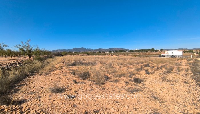 Te koop - Perceel - Land - Pinoso - Pinoso Centro