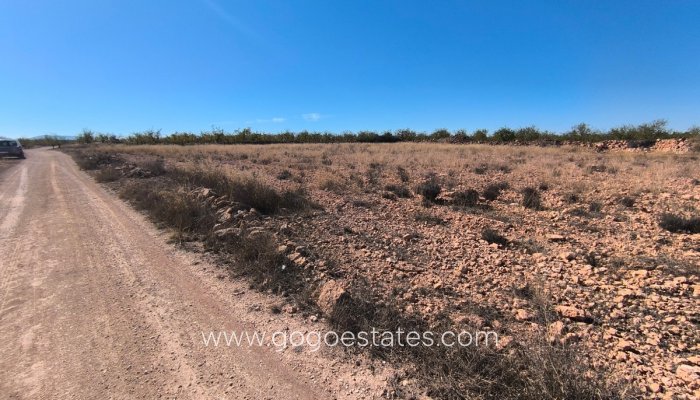 Te koop - Perceel - Land - Pinoso - Pinoso Centro