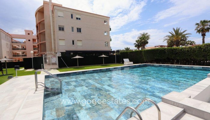 Revente - Appartement - Appartement au rez-de-chaussée - Orihuela - Playa Flamenca