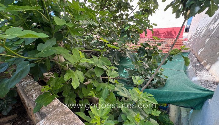 Te koop - Huis - Vrijstaande Villa - Benejuzar - Benejuzar Centro