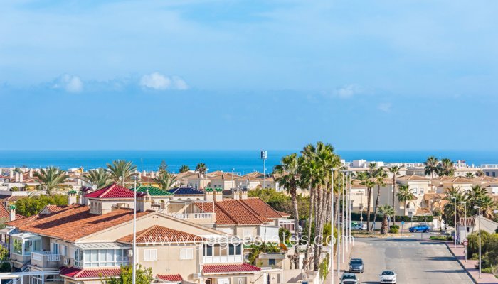 Revente - Appartement - Appartement au rez-de-chaussée - Orihuela - Playa Flamenca