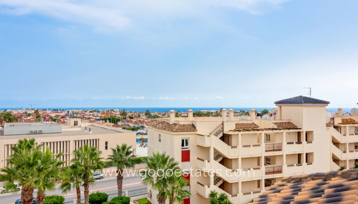 Revente - Appartement - Appartement au rez-de-chaussée - Orihuela - Playa Flamenca