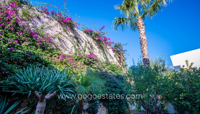 Te koop - Huis - Vrijstaande Villa - Algorfa - Algorfa Centro