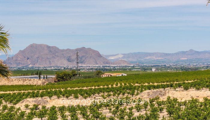 Te koop - Huis - Vrijstaande Villa - Algorfa - Algorfa Centro