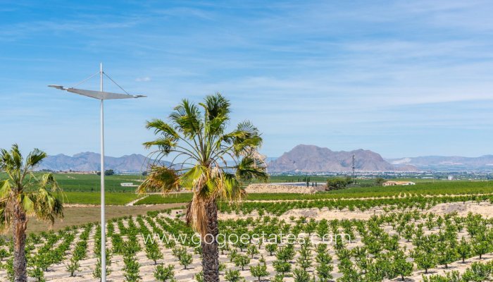 Te koop - Huis - Vrijstaande Villa - Algorfa - Algorfa Centro