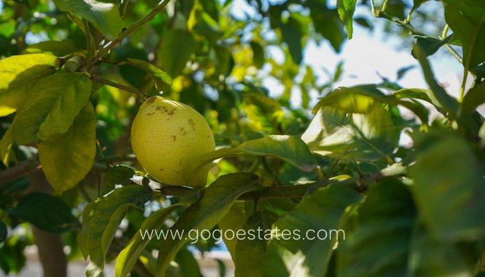 Te koop - Huis - Vrijstaande Villa - Benissa - Benissa Centro
