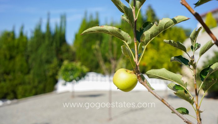 Te koop - Huis - Vrijstaande Villa - Benissa - Benissa Centro